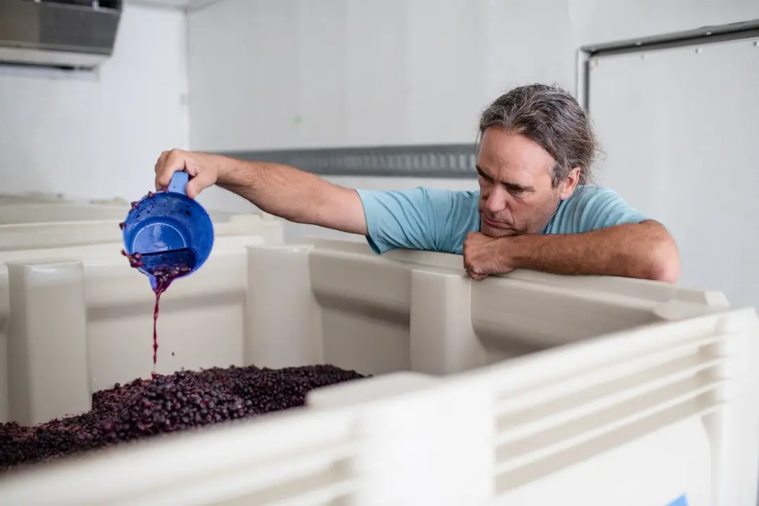Vinsats med koncentrat, jäst och tillsatser för hemmavin