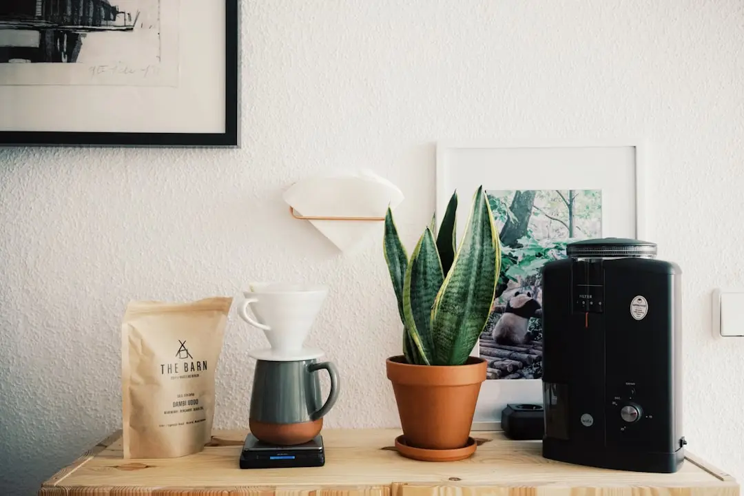 Wilfa Uniform kaffekvarn med platta malskivor